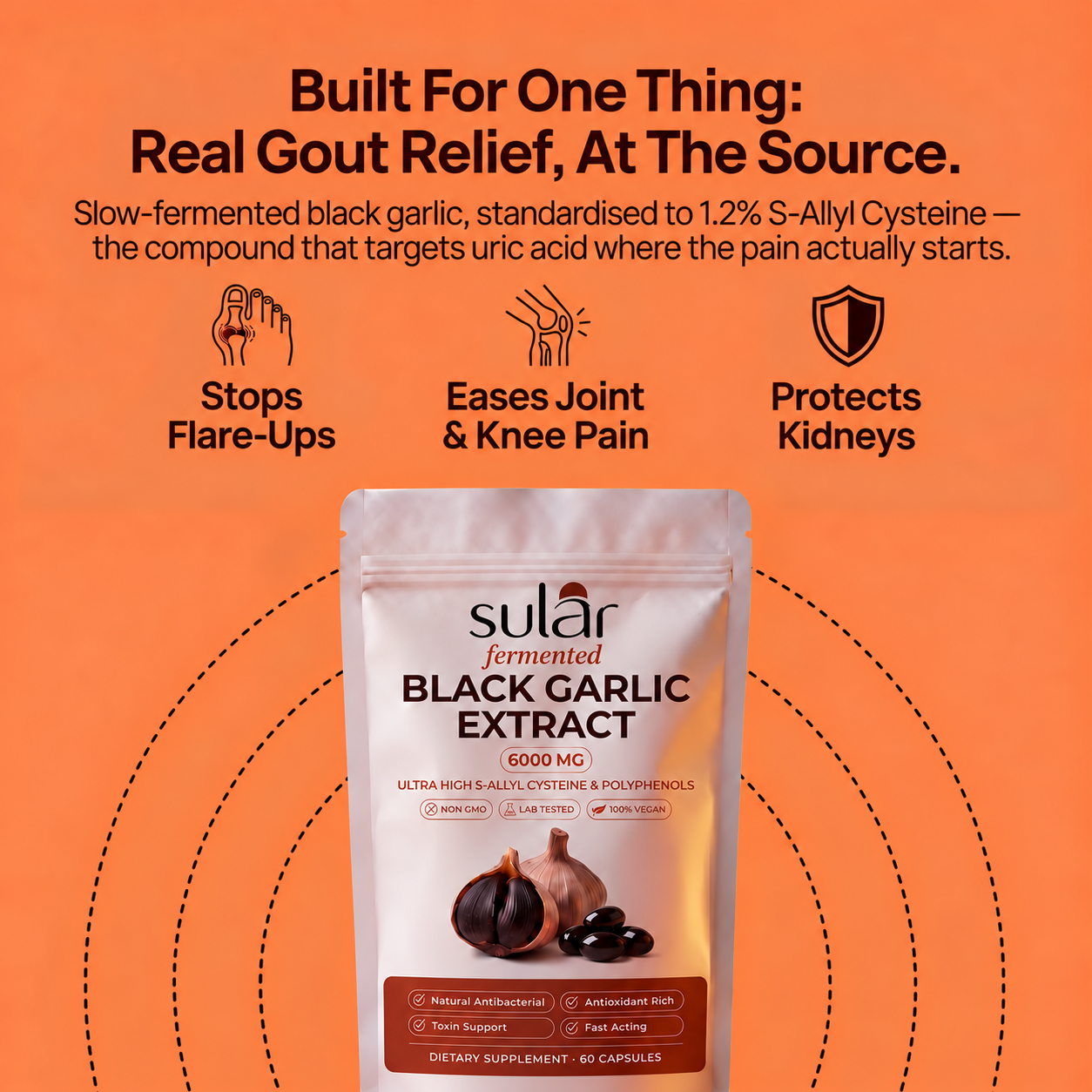 Sular: Fermented Black Garlic Restoration Protocol