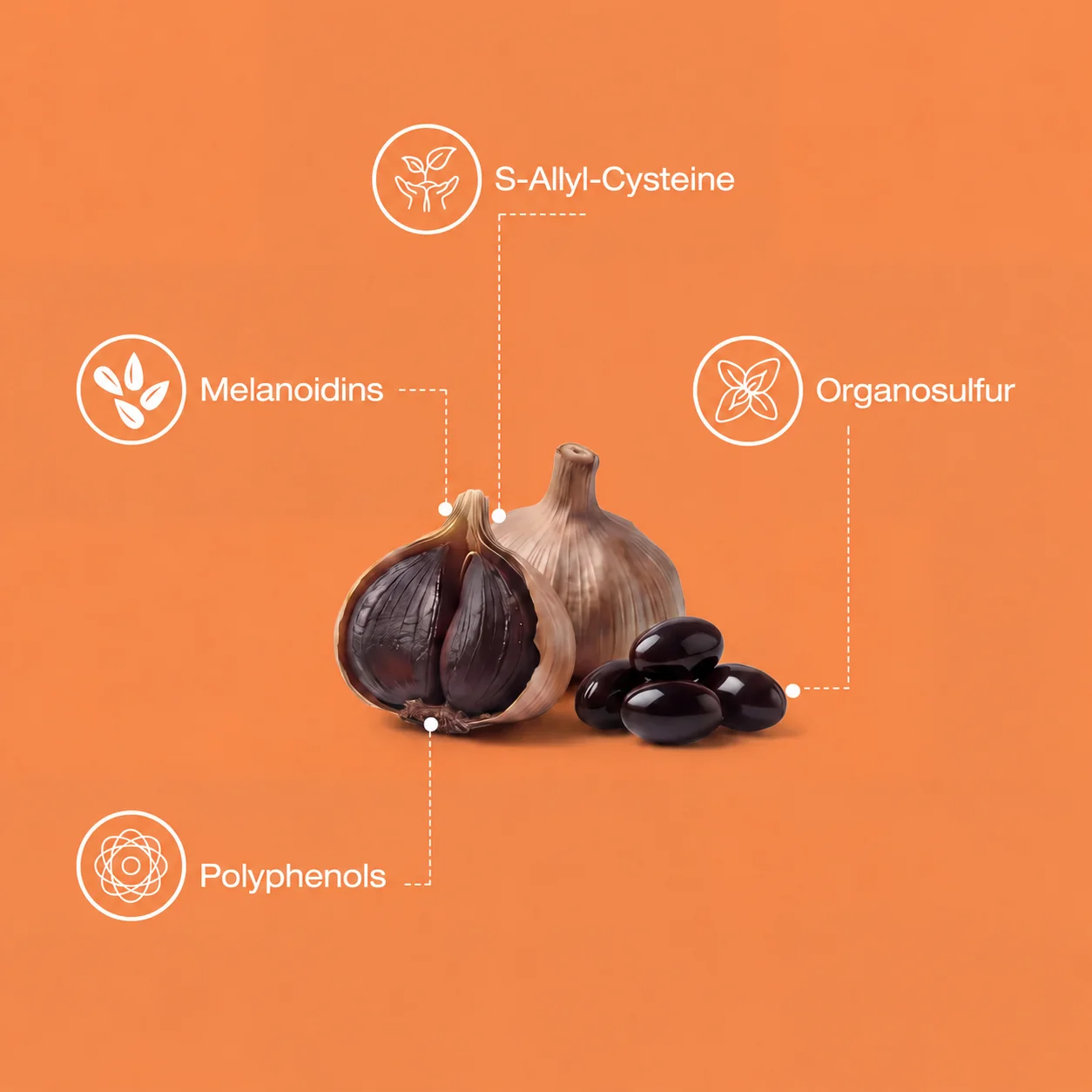 4 Super-Ingredients Inside